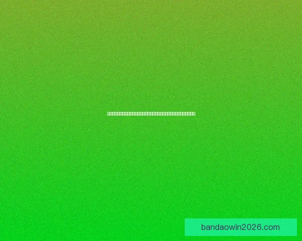 半岛体育官网入口最新功能指南全面解析与使用技巧