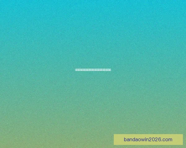 半岛体育官网入口最新功能指南全面解析与使用技巧