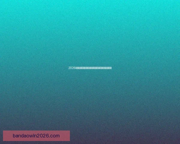 2026世界杯电视直播指南赛事时间平台解析与观赛体验提升