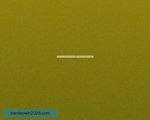 全面解析体育竞猜平台优势与风险 带你了解如何精准投注提升胜率